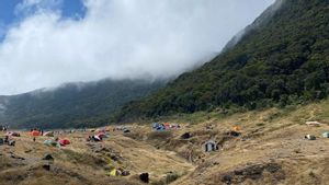 Moving On The Mount Gede-Pangrango Water Line, Climbers Will Be Rewarded With Black List TNGGP