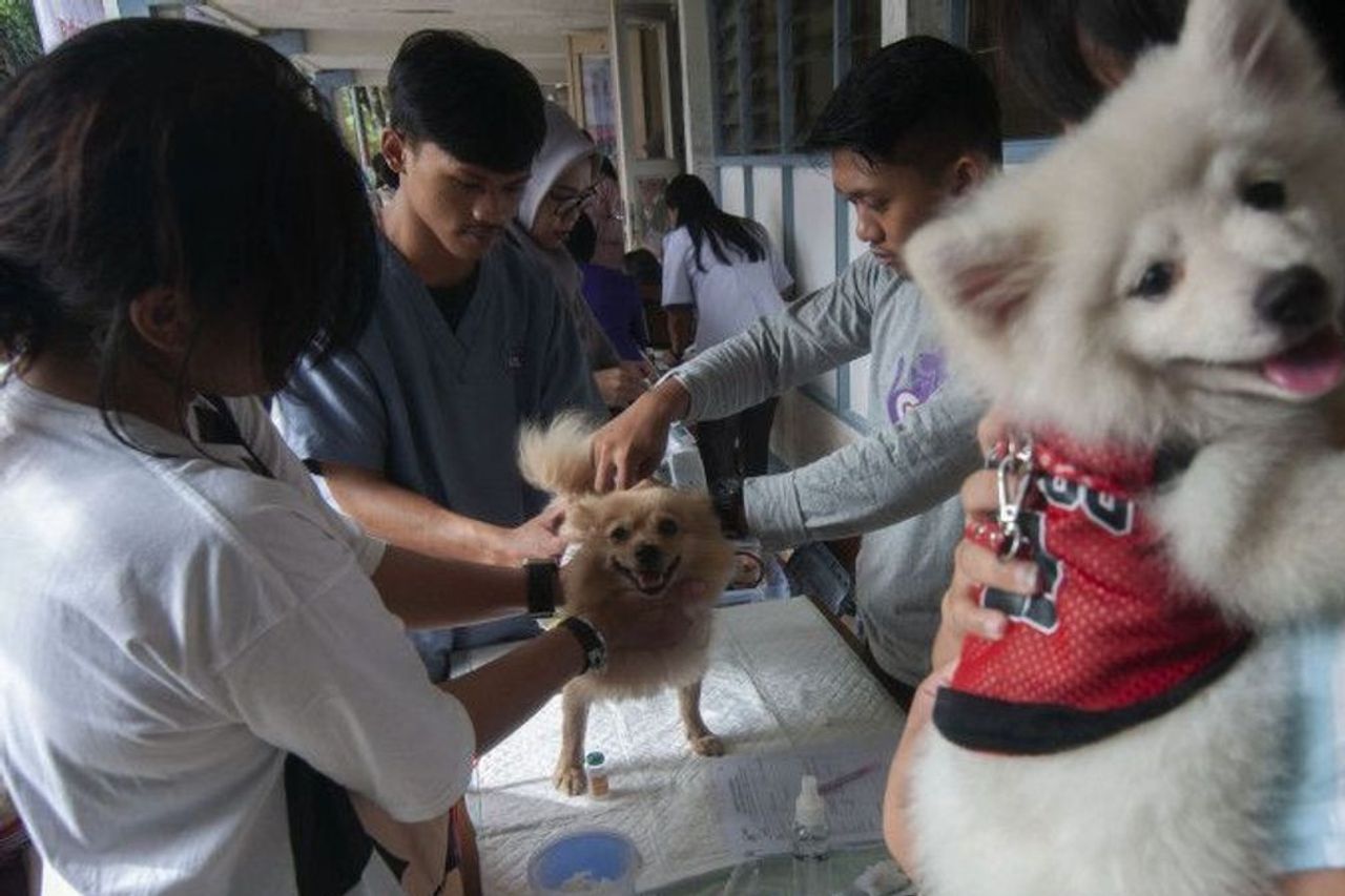 狂犬病を防ぐ、ケプリは他の州から犬や猫を含めることを禁じています