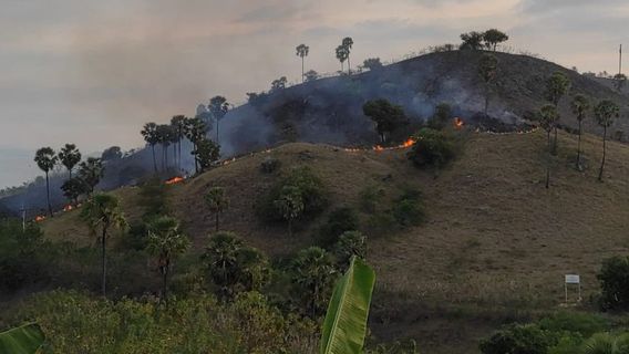 BMKG提醒NTT居民在旱季可能发生森林火灾