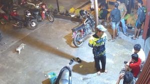 Polisi Tangkap 8 Pemuda yang Aniaya Warga di Palangka Raya