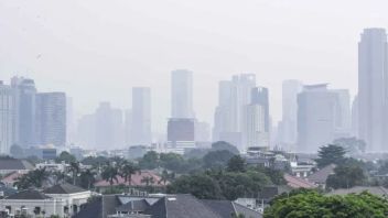 Air Pollution Proposed Disaster Status, DKI Provincial Government: Impossible, Disrupt Economic Activities