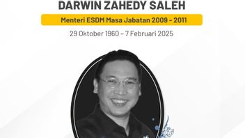 前能源和矿产资源部长Era SBY,Darwin Zahedy Saleh Tutup Uses