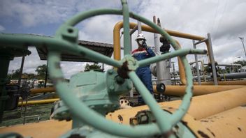Two Months Will Last, Petrogas And SKK Migas Drilling Riam 1 Well In Papua