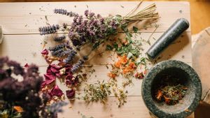 4 Jenis Tanaman Herbal yang Ampuh Sembuhkan Kulit Gatal