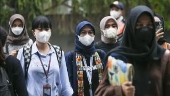 Superflu Spreads, the Government Says It is Not a Serious Health Threat