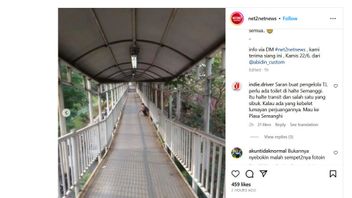 Duh, Pria Tak Dikenal BAB di JPO Halte Transjakarta Semanggi