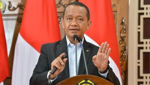 Realisasi DMO Batu Bara ke PLN Mencapai 104,6 Juta Ton