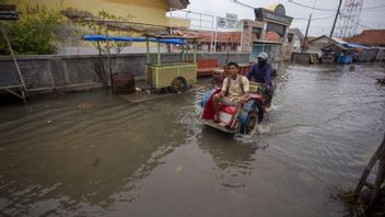 Potensi Banjir Rob Masih Tinggi, BNPB Ingatkan Pemda Cepat Tanggap