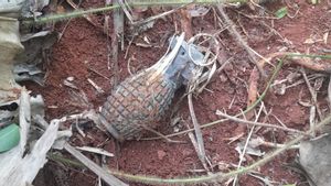 Des résidents ont trouvé des grenades de nanas dans le jardin vacant près de Gudmurah Kodam Jaya
