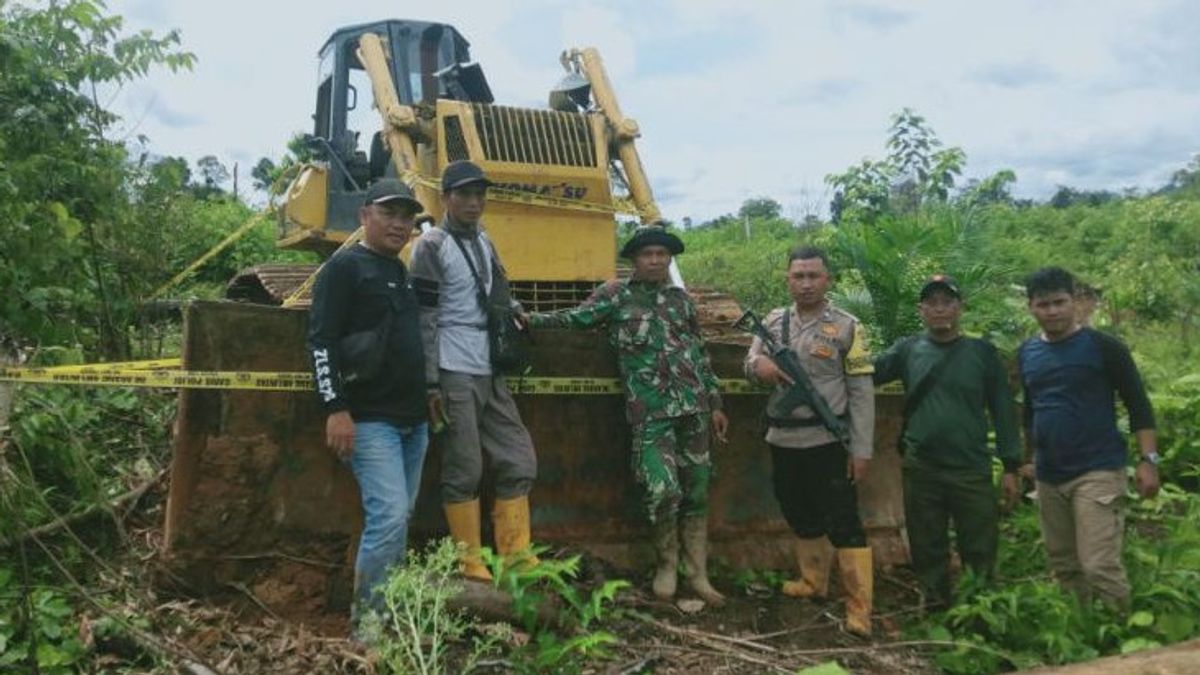 Alat Berat dan Kayu Olahan Barang Bukti Perambahan Hutan Ditemukan di Kawasan HPT Air Ipuh Mukomuko