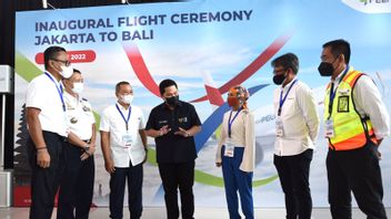 Asking Pelita Air To Focus On Working On Domestic Routes, Erick Thohir: If There Is An International Permit, Don't Give It!
