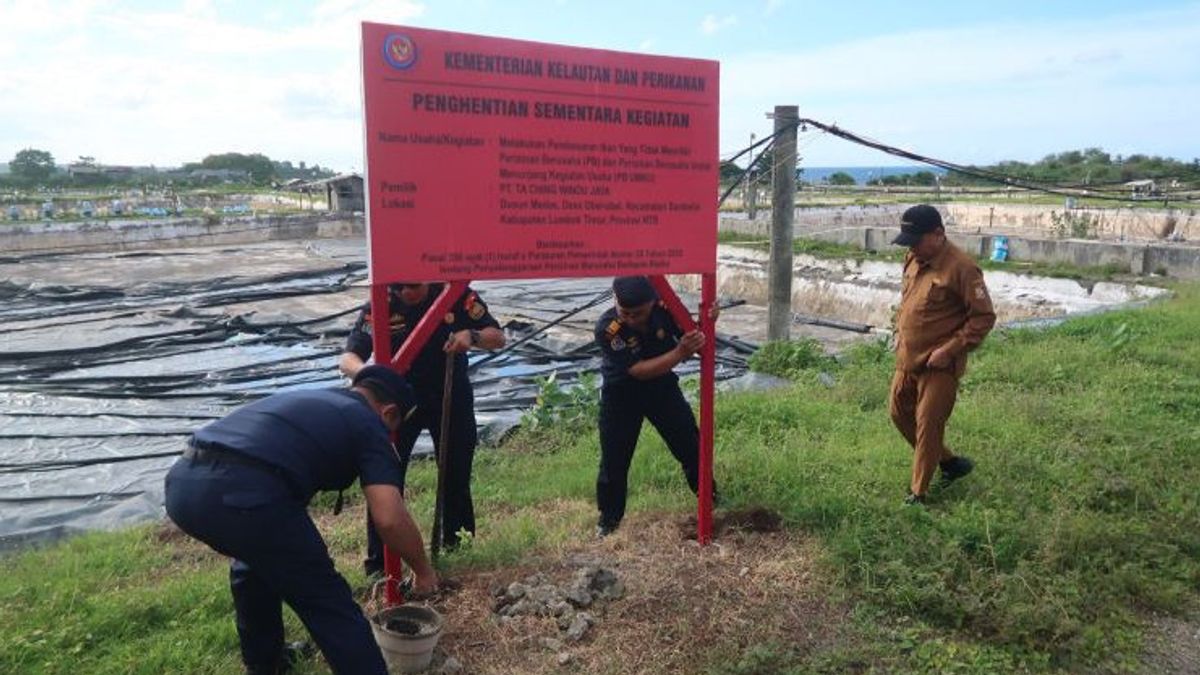    KKP Segel Tambak Udang Milik Perusahaan Asing di Lombok