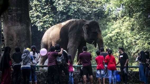 Ragunan Dikunjungi Lebih dari 15 ribu Orang Akhir Pekan Ini