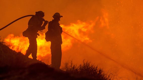 Kebijakan Pengendalian Karhutla di Masa Pandemi COVID-19