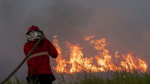 Meningkat dari Tahun Lalu, 99 Kasus Kebakaran Terjadi di Lebak dalam 9 Bulan Terakhir