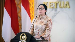 Ketika Negara Terlambat, Rakyat Inisiatif Sendiri, Puan: <i>No Viral no Justice</i>