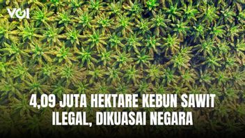 The State Successfully Dominated 4.09 Million Hectare of Illegal Oil Palm Gardens
