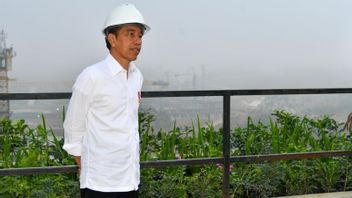 Today Jokowi Groundbreaking Solar Power Plant At IKN