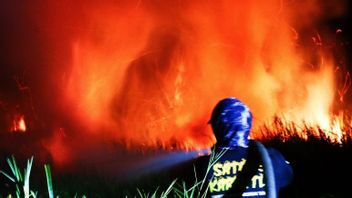 Waspada, 7.735 Titik Api Karhutla Terdeteksi di Kalsel