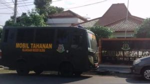 Kejari Blora Susun Dakwaan Kasus Penganiayaan Kucing untuk Disidangkan