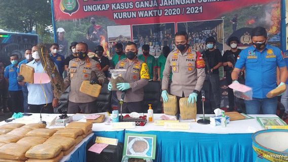 Police Reveal Fields In Madina North Sumatra, 144.5 Tons Of Marijuana Seized