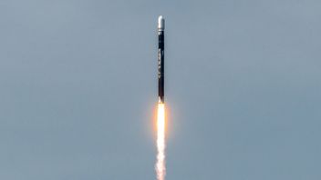 Roket Firefly Alpha Tempatkan Muatan Satelit di Orbit yang Salah