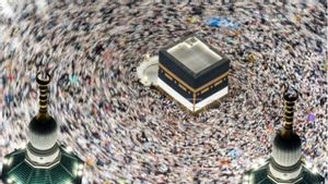 Biaya Konsumsi Jemaah Haji Tahun 2026 Sebesar 40 Riyal per Hari