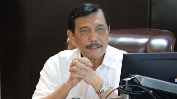 Les Cas De COVID-19 Sont Fous En Indonésie, Luhut Admet Demander De L’aide De Singapour à La Chine