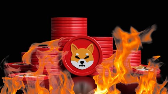 Le prix du shiba inu a chuté de 4%, le taux de combustion de 3500% incapable de résister à la correction