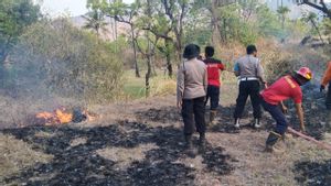 Sepekan Karhutla, Kebakaran Hutan Gunung Agung Capai 645 Hektare