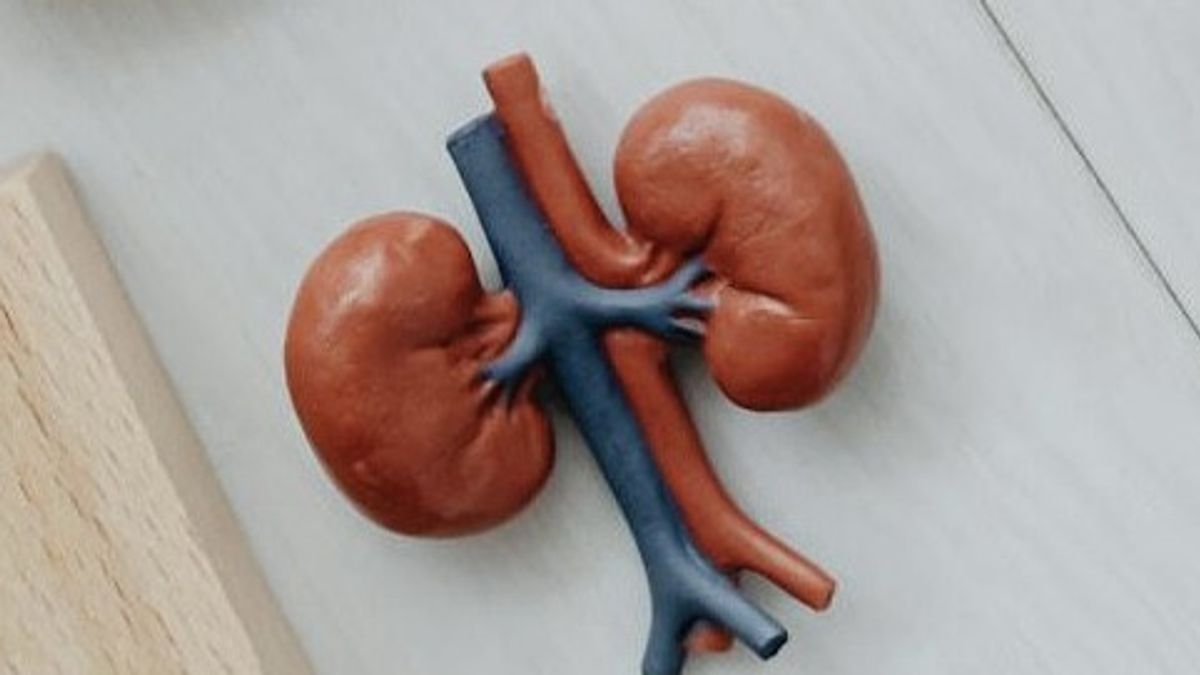 Commemorating World Kidney Day, Call For Healthyness Of Your Kidney Invites People To Detection Early