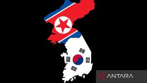 Korsel Lepaskan Tembakan Peringatan Usai Tentara Korea Utara ’Nyelonong’ di Perbatasan