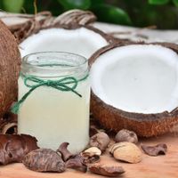 Dari Mana Asal Air Kelapa? Terbentuk Lewat Proses Alami yang Menakjubkan