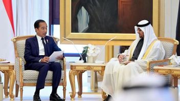 Jokowi Invites UAE President To Visit Indonesia In September
