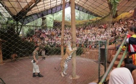 Mengenal Oriental Circus Indonesia: Sejarah dan Masa Keemasannya