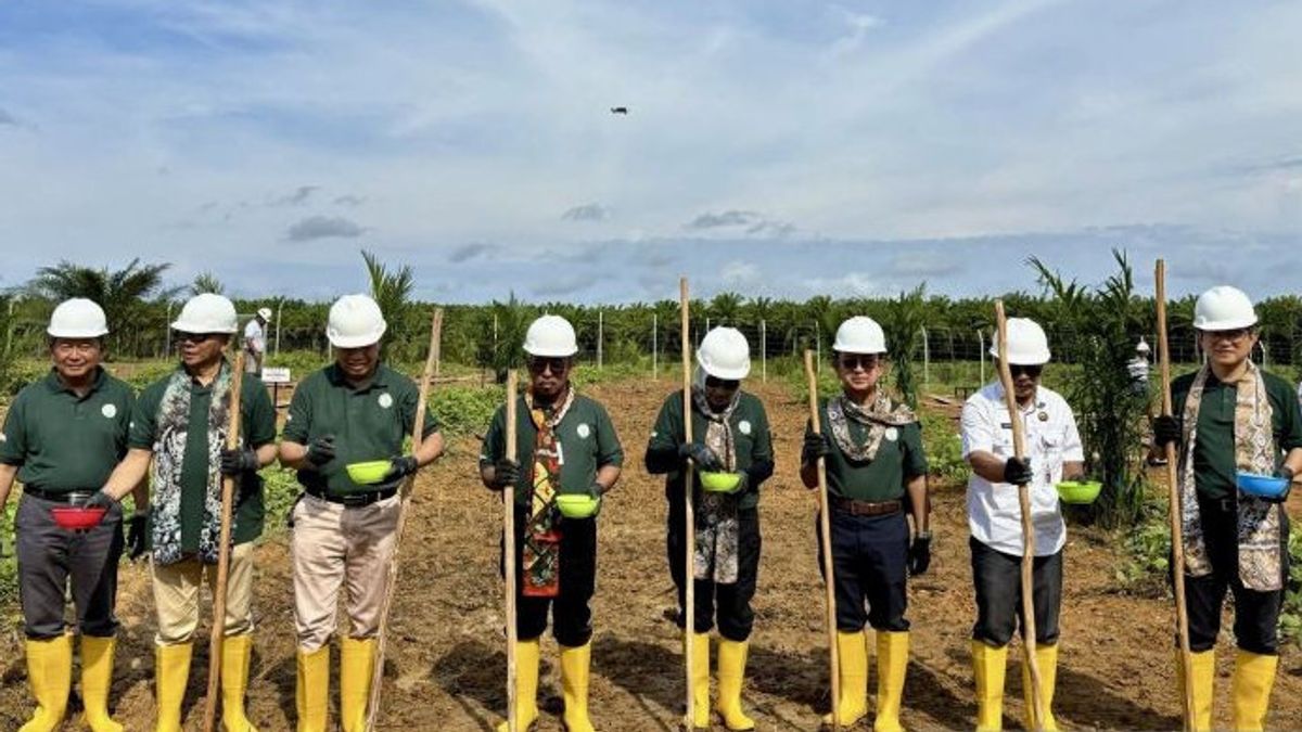 GAPKIは、政府が人民のパーム油再植林プログラムを通じて新しい経済気候を創造することに成功したと言います