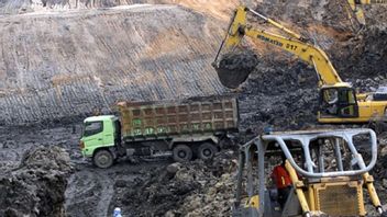 由于PT CLM的采矿活动停止，马里利社区的经济开始中断