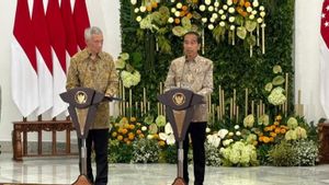 Jokowi Klaim Ada 29 Perusahaan Singapura Siap Investasi di IKN