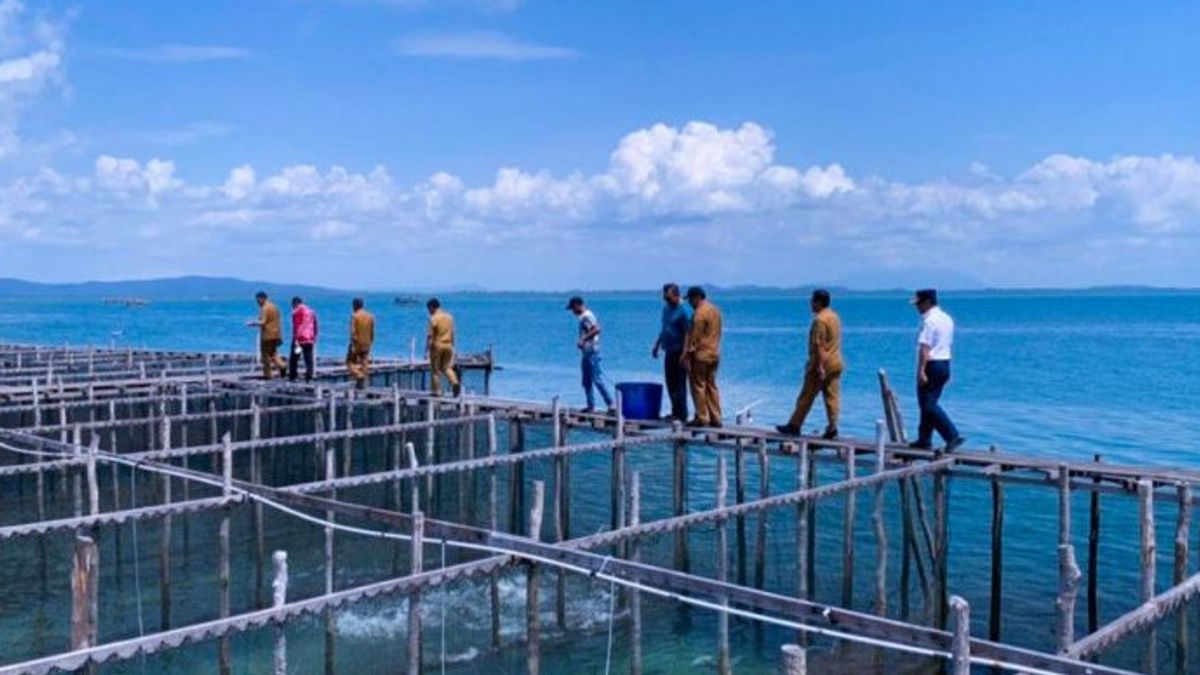 بنك إندونيسيا يستكشف التعاون في قطاع مصايد الأسماك في ناتونا