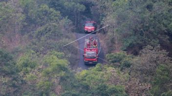 2 Business Day Use Jet Shooter, Sekop And Cangkul, Joint Teams Successfully Disposal Fire In The Mount Ciremai Forest Area