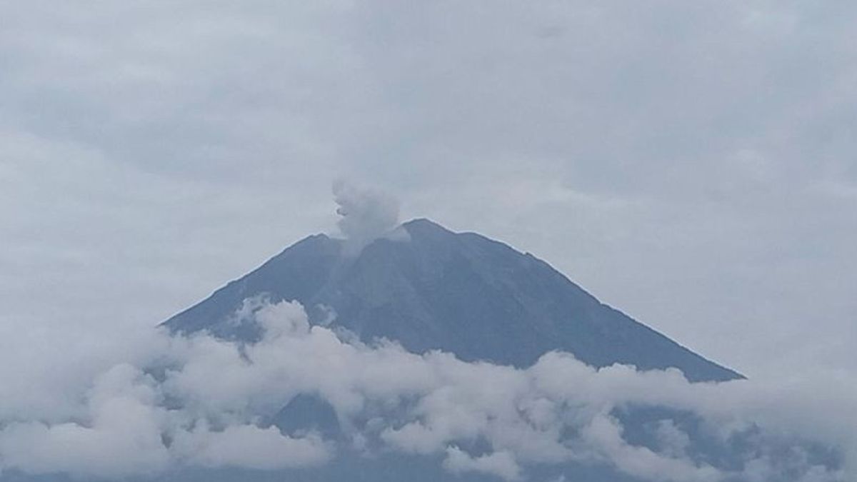  Gunung Semeru Erupsi 4 Kali, Warga Diminta Menjauh 5 Km dari Puncak 