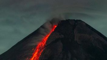 Berita DIY: Guguran Lava Pijar Gunung Merapi Meluncur 15 Kali ke Arah Barat Daya