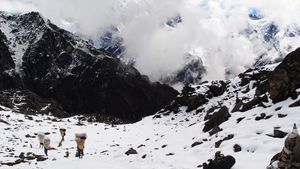 Badai Salju Terjang Gunung Everest, 580 Pendaki Berhasil Diselamatkan Pemerintah China