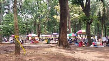 Viral Pengunjung Taman Margasatwa Ragunan Pasar Minggu Tertimpa Dahan Pohon