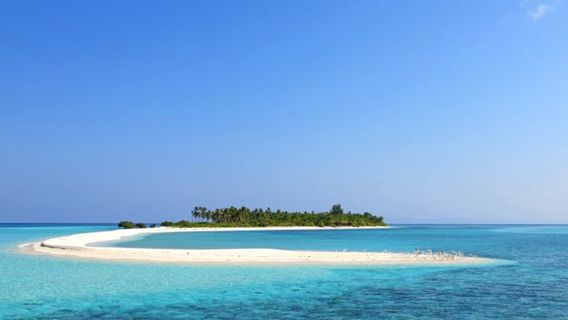 Heboh Pulau Lantigiang Selayar For Sale, Police Will Set Suspects