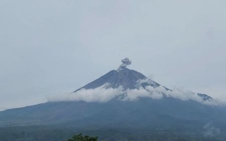 Gunung Semeru Erupsi, Semburkan Abu Vulkanik hingga 800 Meter