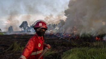 KLHK开放数据，森林和陆地火灾面积在6年内急剧下降