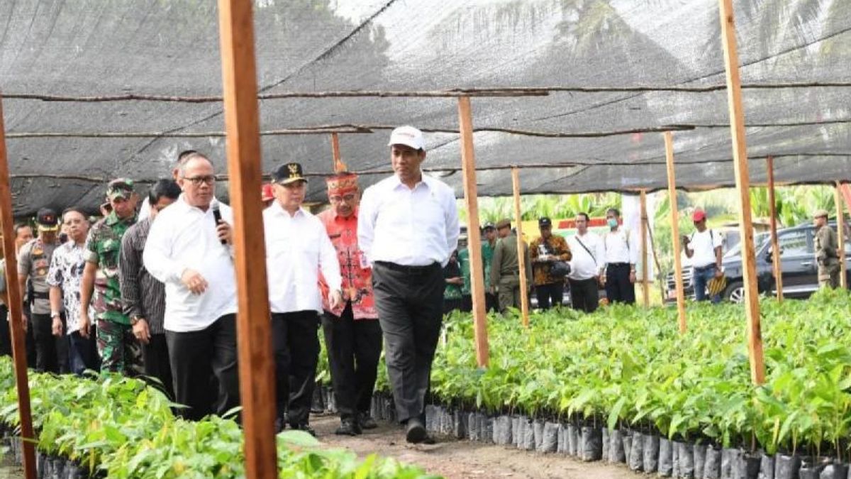 Ministry Of Agriculture Strengthens Expenditure Permits And Plant Seed Income
