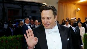 Starlink Jadi Mesin Uang SpaceX, Elon Musk Siapkan Ponsel Sendiri hingga Internet Langsung ke HP