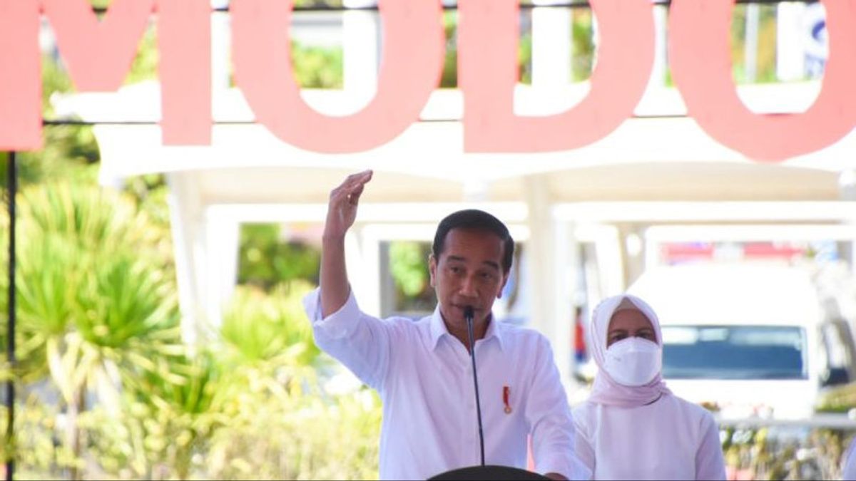 Cerita Presiden Jokowi Saat Resmikan Perluasan Bandara Komodo Labuan Bajo: Pemandangannya Bagus